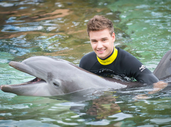 Liam Payne Liam Payne